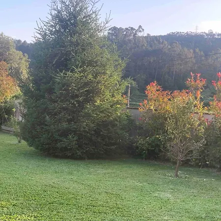 בית נופש Oliveira's Little House קמיניה