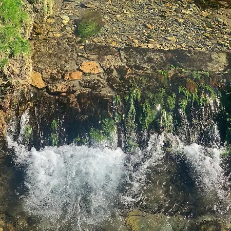 בית נופש Oliveira's Little House