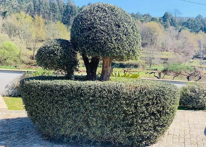 Vakantiehuis Oliveira's Little House *