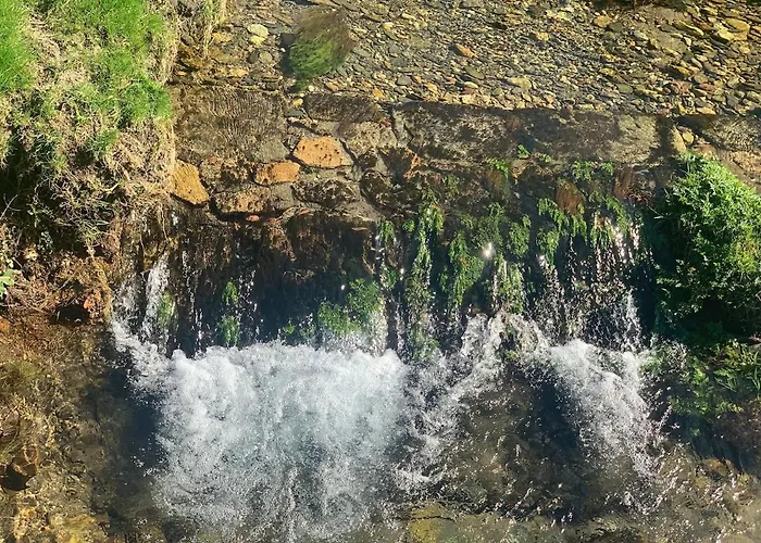 Vakantiehuis Oliveira's Little House