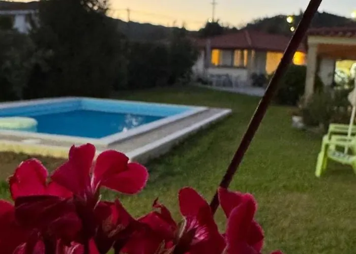 Vakantiehuis Oliveira's Little House *