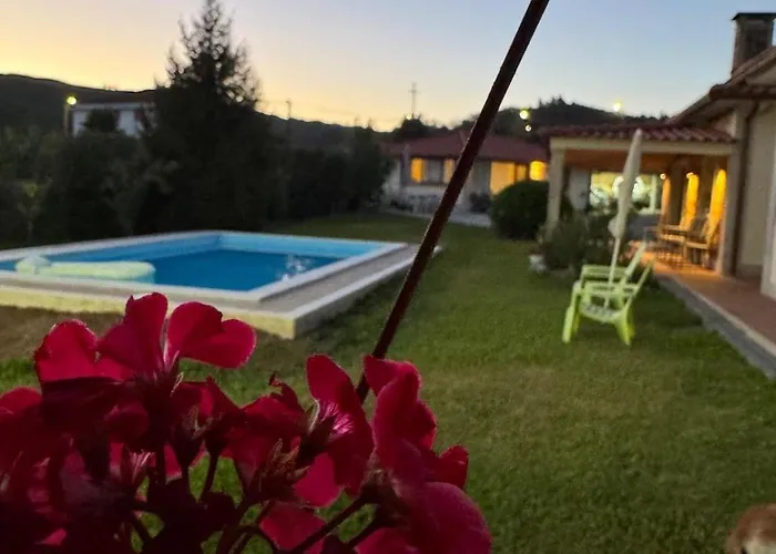 Oliveira's Little House * Caminha