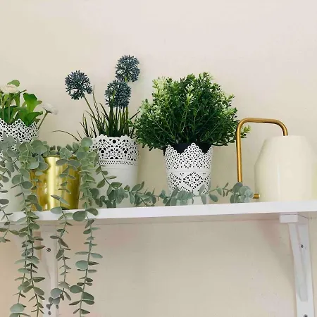 Oliveira's Little House * Caminha