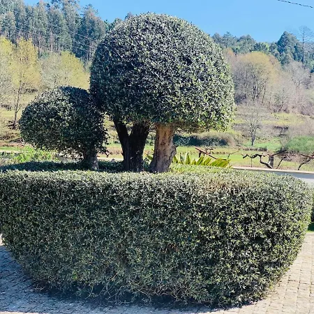 Casa vacanze Oliveira's Little House *