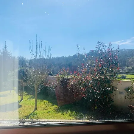 Oliveira's Little House *