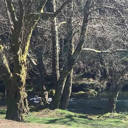 Oliveira's Little House