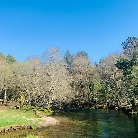 Vakantiehuis Oliveira's Little House