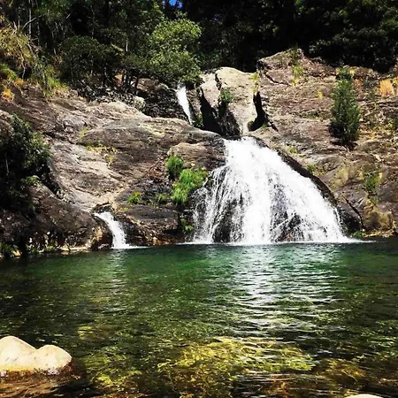 Oliveira's Little House Casa vacanze *