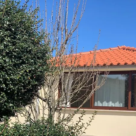 Ferienhaus Oliveira's Little House