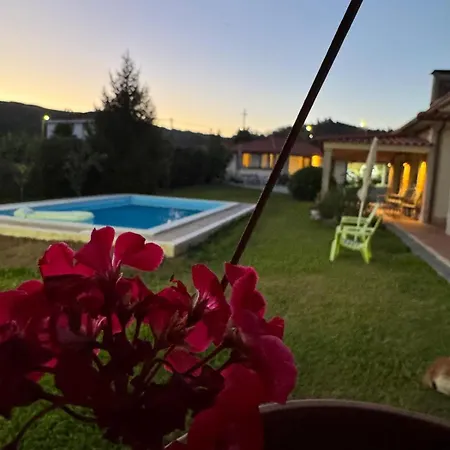 Oliveira's Little House * Caminha