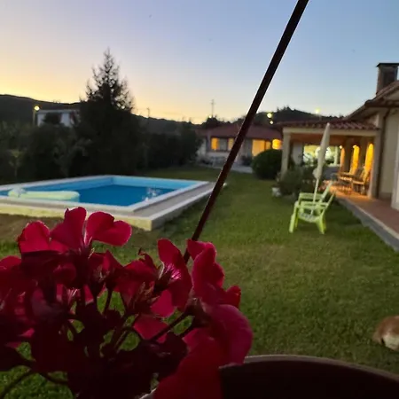 Oliveira's Little House * Caminha