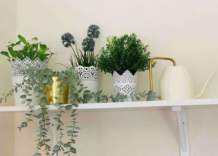 Oliveira's Little House * Caminha