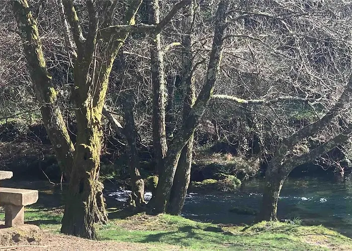 Oliveira's Little House