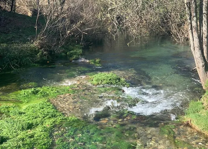 Oliveira's Little House Prázdninový dům